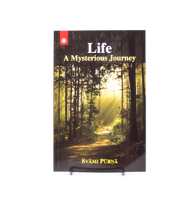 Life: A Mysterious Journey